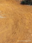 100_6317.JPG