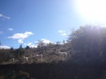 Foto77.JPG