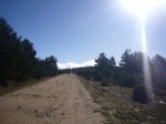 Foto98.JPG