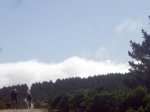Foto100.JPG