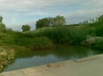 10102009(004).jpg