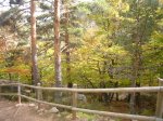 Foto140.JPG