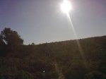 11102009181.jpg