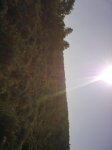 11102009183.jpg