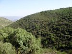 PA110221.jpg