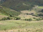 IMG_0692.JPG