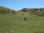 IMG_0697.JPG