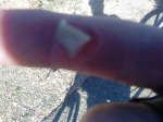 DSC00591.JPG