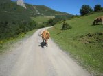 IMG_0785.JPG