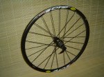 crossride 003.JPG