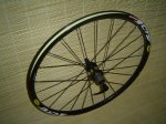 crossride 005.JPG