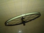 crossride 006.JPG
