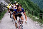 Millar-Dauphine_02_010689.jpg