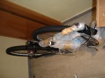 DSC06782.jpg