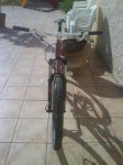 DSC00114.jpg