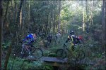 DSC04050.jpg