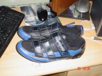 DSC00559.JPG