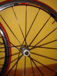 DSC05124.JPG
