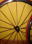 DSC05125.JPG