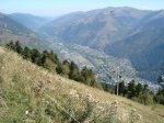 DSC00701.jpg