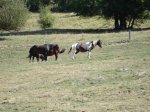 DSC00714.jpg