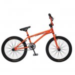 GT_finale_bmx_2009.jpg