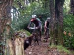 barro1.jpg