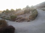 Foto0872.jpg