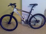 orbea master Gold.jpg
