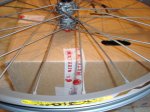 DSC01642.JPG