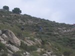 IMG_0549.jpg