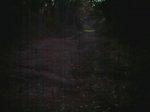 11102009_001.jpg