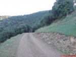DSC00306.jpg