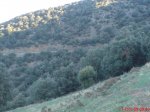 DSC00307.jpg