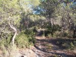 DSCF6933.JPG