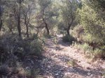 DSCF6937.JPG
