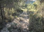 DSCF6940.JPG