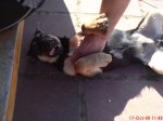 DSC00327.jpg