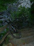 DSCN4318.jpg