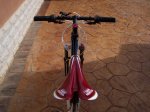 100_0593.jpg