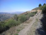CIMG0695.jpg