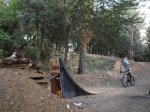 P1015235.jpg
