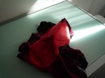 P1010070.jpg