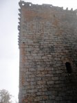 DSC01249.jpg