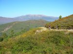 DSCN4096 (Large).JPG