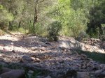 salida 17-10-09 055.jpg