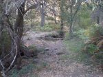 PA170005.jpg