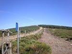 PA170018.jpg