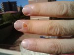 2009-10-18 14.11.41.jpg