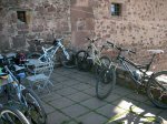 DSC07307.JPG